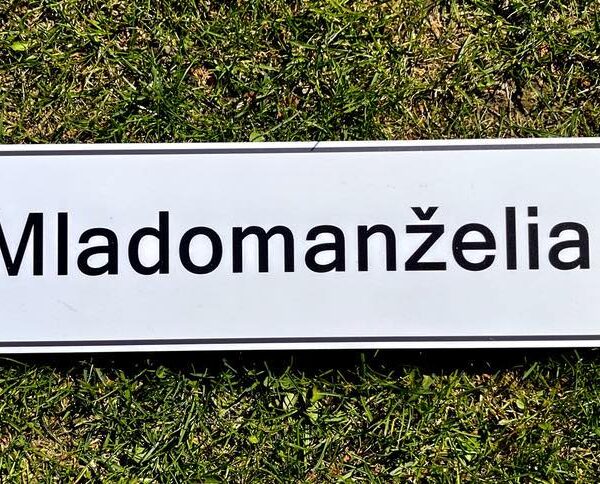 Svadobná ŠPZ Mladomanželia so srdiečkami